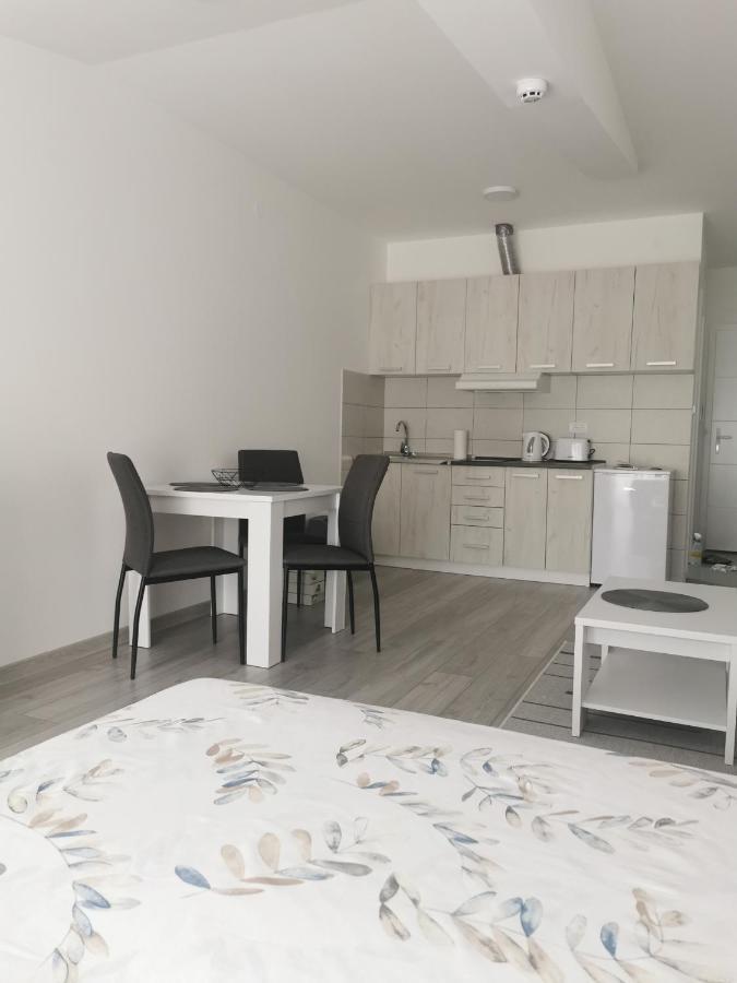 Studio Apartmani Banja Koviljaca Exterior photo