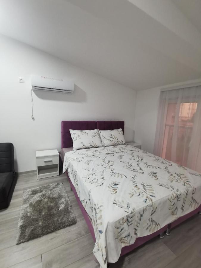 Studio Apartmani Banja Koviljaca Exterior photo