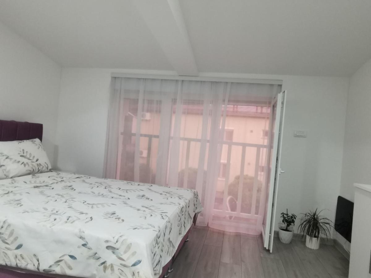 Studio Apartmani Banja Koviljaca Exterior photo