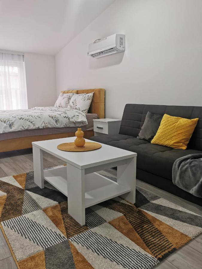Studio Apartmani Banja Koviljaca Exterior photo
