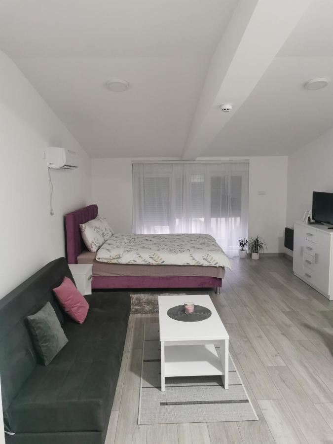 Studio Apartmani Banja Koviljaca Exterior photo