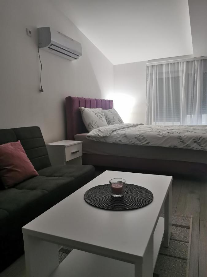 Studio Apartmani Banja Koviljaca Exterior photo