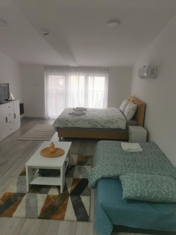 Studio Apartmani Banja Koviljaca Exterior photo