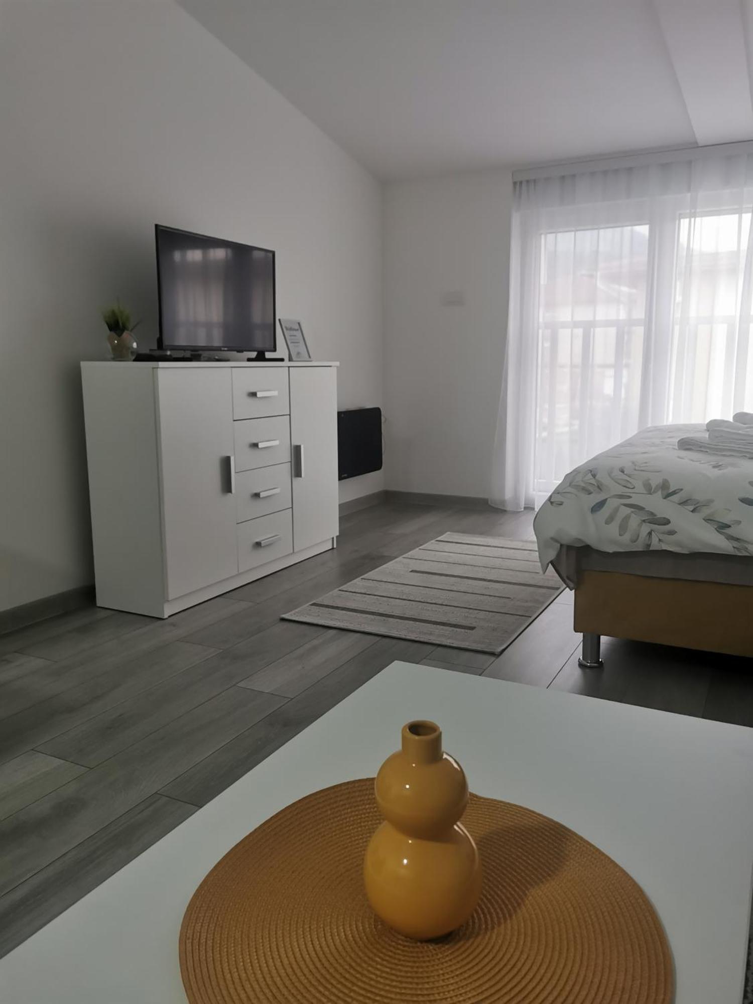 Studio Apartmani Banja Koviljaca Exterior photo