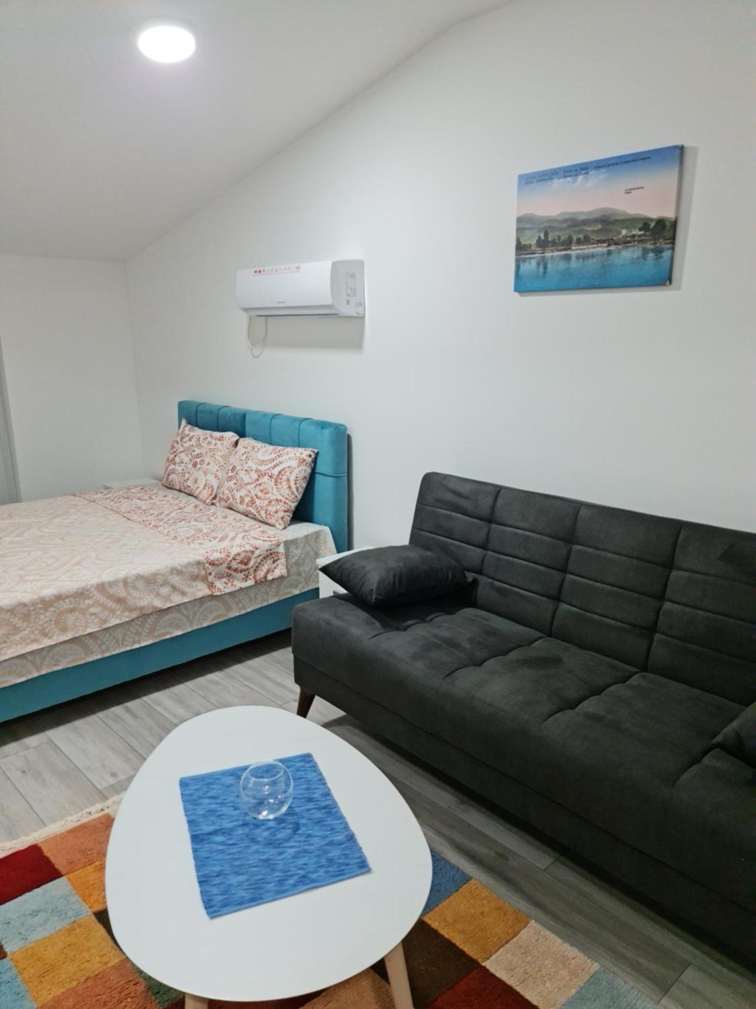Studio Apartmani Banja Koviljaca Room photo